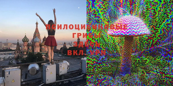 бошки Гусиноозёрск