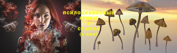 MESCALINE Гусев