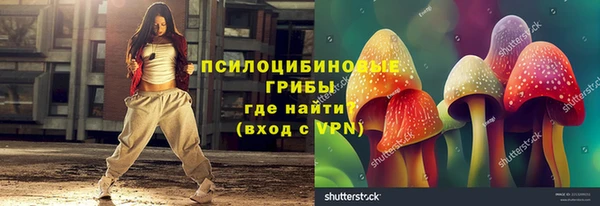 таблы Гусь-Хрустальный