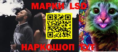 ПСИЛОЦИБИНОВЫЕ ГРИБЫ Краснодар