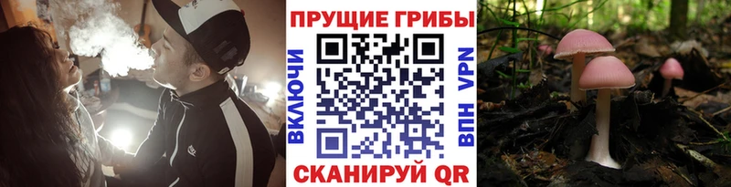 MEGA вход  Ейск  Псилоцибиновые грибы MAGIC MUSHROOMS 