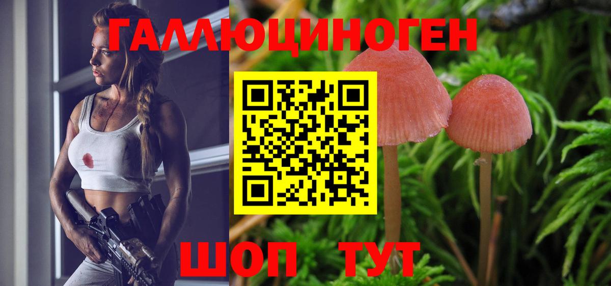 Ейск  Псилоцибиновые грибы Cubensis  Вход с VPN 
